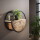 RINGO-Living Massivholz Regal Dinesh mit Schublade in Natur-hell und Schwarz-matt 500mm