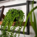 RINGO-Living Massivholz Regal Alani in Natur-hell und Schwarz-matt 1000mm