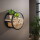 RINGO-Living Massivholz Regal Dinesh mit Schublade in Natur-hell und Schwarz-matt 400mm [Gebraucht - Wie Neu]