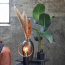 RINGO-Living Kunstpflanze Kalia in Grün aus Kunststoff 1000x700mm