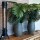 RINGO-Living Kunstpflanze Kyana in Grün aus Kunststoff 1100x900x600mm