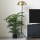 RINGO-Living Kunstpflanze Kyana in Grün aus Kunststoff 1100x900x600mm