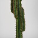 RINGO-Living Pflanze Cariba in Grün aus Kunststoff 1300x300x250mm