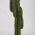 RINGO-Living Pflanze Cariba in Grün aus Kunststoff 1300x300x250mm