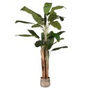 RINGO-Living Kunstpflanze Lahahana in Grün aus Kunststoff 1800x1100mm