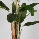 RINGO-Living Kunstpflanze Lahahana in Grün aus Kunststoff 1800x1100mm