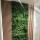 RINGO-Living Pflanzenwand - Kunsthecke Wini in Grün aus Kunststoff 800x800x100mm